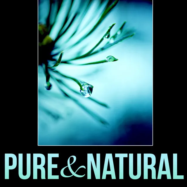 Pure & Natural - New Age Natural Sounds, Study Music for Your Brain Power, Meditation and Focus on Learning