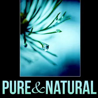 Pure & Natural - New Age Natural Sounds, Study Music for Your Brain Power, Meditation and Focus on Learning by Natural Therapy Music Academy