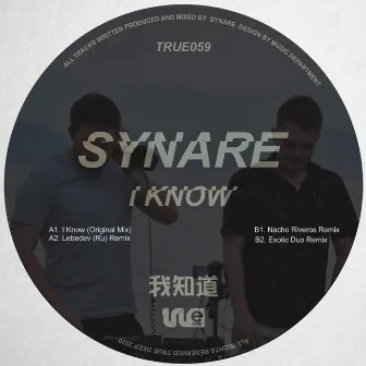 I Know by Synare