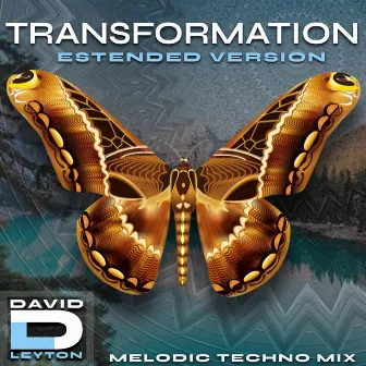 Transformation (Estended Version) by David Leyton