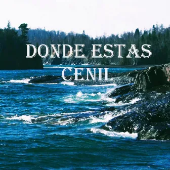 Donde Estas by Cenil