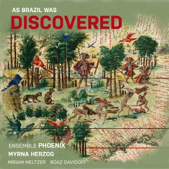 As Brazil was DISCOVERED by Myrna Herzog