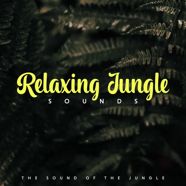 Relaxing Jungle Sounds