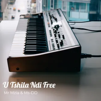 U Tshila Ndi Free by Mr Mzia