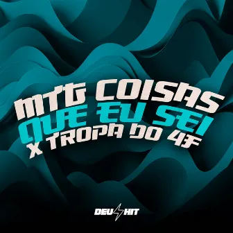 Mtg Coisas Que Eu Sei X Tropa do 4F by DJ 4F