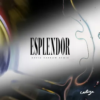 Esplendor by Caliza