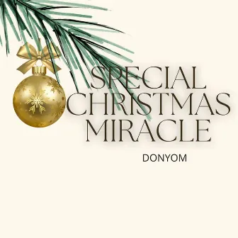 Special Christmas Miracle by DonYom