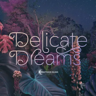 Delicate Dreams by David Turtle Ramani