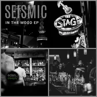 In The Mood EP by Seismic