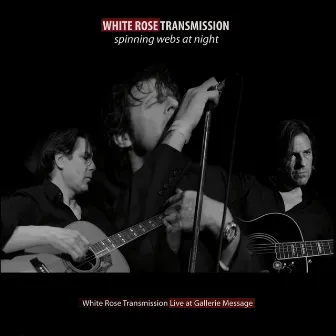 Spinning Webs At Night by White Rose Transmission