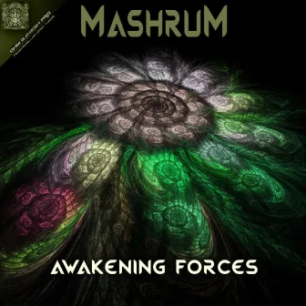 Awakening Forces by Mashrum