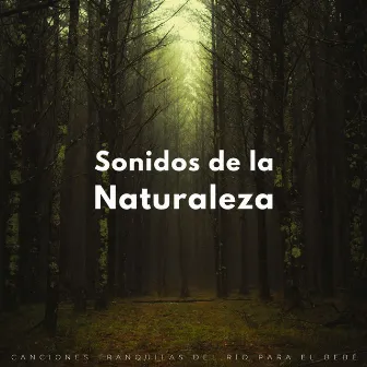 Sonidos De La Naturaleza: Canciones Tranquilas Del Río Para El Bebé by Conservatorio del sueño del bebé