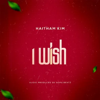 I Wish by Haitham Kim