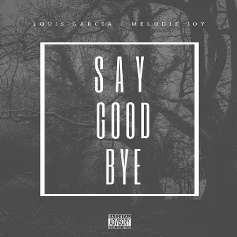 Say Good Bye by Louis Garcia