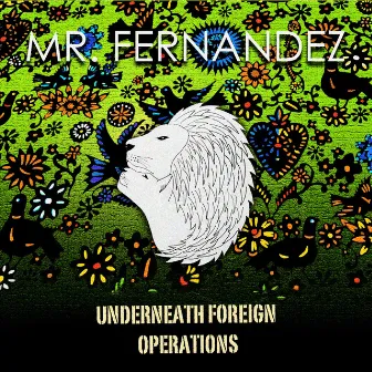 Underneath Foreign Operations by Mr Fernandez