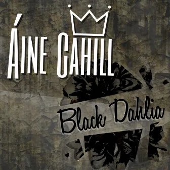 Black Dahlia by Áine