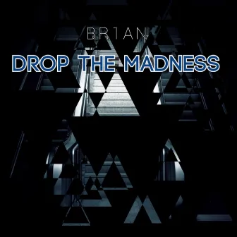 Drop The Madness by BR1AN