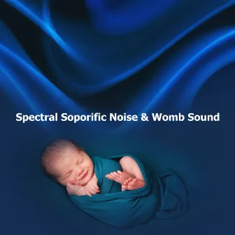 Spectral Soporific Noise & Womb Sound by Womb Sound