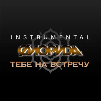 Тебе на встречу (Instrumental) by Флорида