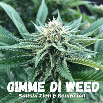 Gimme Di Weed by Sakshi Zion