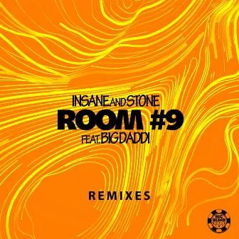 Room #9 (Remixes) by Insane