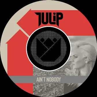 Ain't Nobody by Tulip