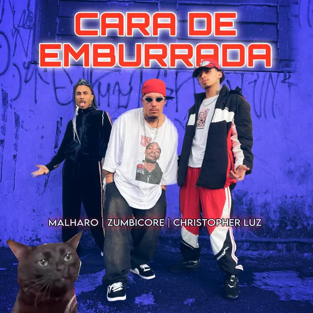 CARA DE EMBURRADA