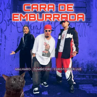 CARA DE EMBURRADA by Christopher Luz