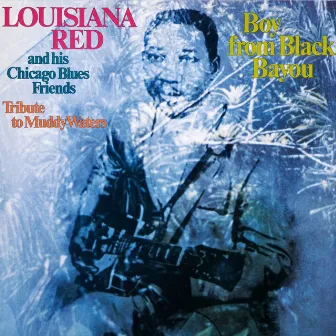 Boy from Black Bayou by Louisiana Red & His Chicago Blues Friends