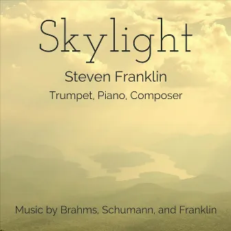 Skylight by Steven Franklin