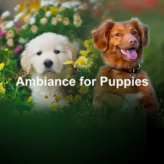 Ambiance for Puppies by Music for Puppies