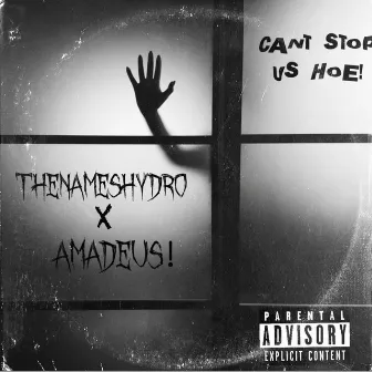 CAN'T STOP US HOE! by Amadeus!