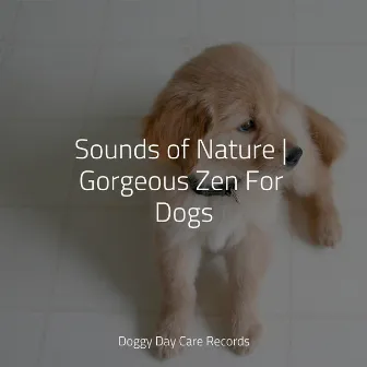 Sounds of Nature | Gorgeous Zen For Dogs by Relaxmydog