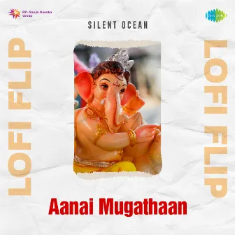 Aanai Mugathaan (Lofi Flip) by Dr. Seerkazhi S. Govindarajan