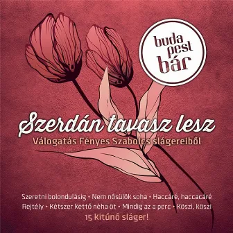 Szerdán Tavasz Lesz (Válogatás Fényes Szabolcs Slágereiből) by Budapest Bár