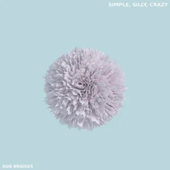 Simple, Silly, Crazy by Rob Bridges