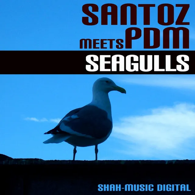 Seagulls - PDM's Intro Rework