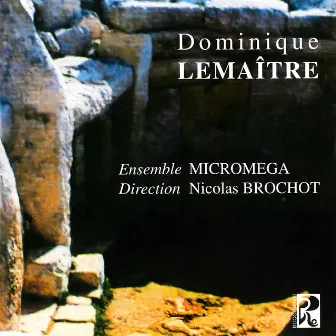 Dominique Lemaître by Nicolas Brochot