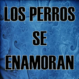 Los Perros Se Enamoran by Kings of the Reggaeton