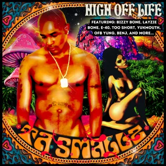 High Off Life by Ta Smallz