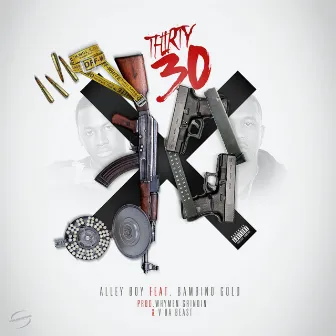 30, 30 by Alley Boy