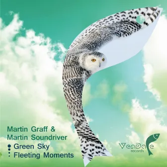 Green Sky / Fleeting Moments by Martin Soundriver