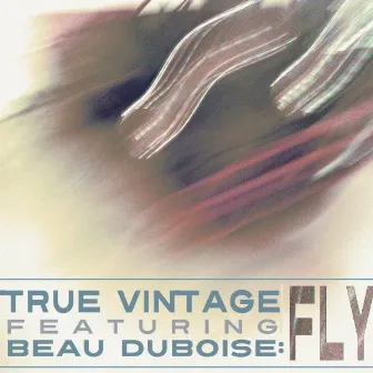 Fly (feat. Beau Duboise) by True Vintage