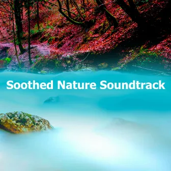 Soothed Nature Soundtrack by Abundant Nature Zen