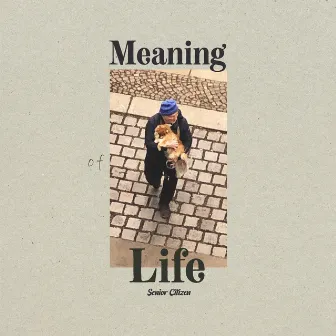 Meaning of Life (Dub Version) by Senior Citizen