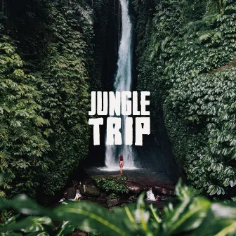 Jungle Trip by Funky Fella