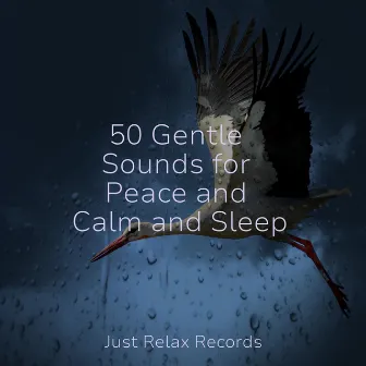 50 Gentle Sounds for Peace and Calm and Sleep by Musica romantica instrumental