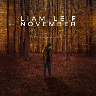 November by Liam Leif