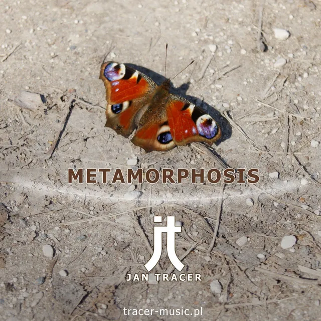 Metamorphosis