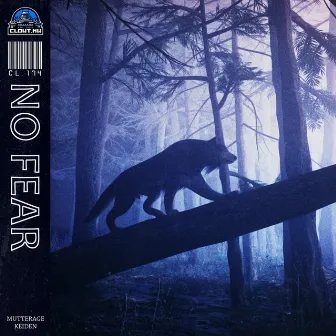 No Fear by Mutterage